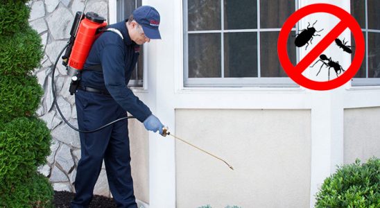 Adapazarı Tahtakurusu İlaçlama böcek ilaçlama ve haşere kontrolü — ilaclama-tr.com